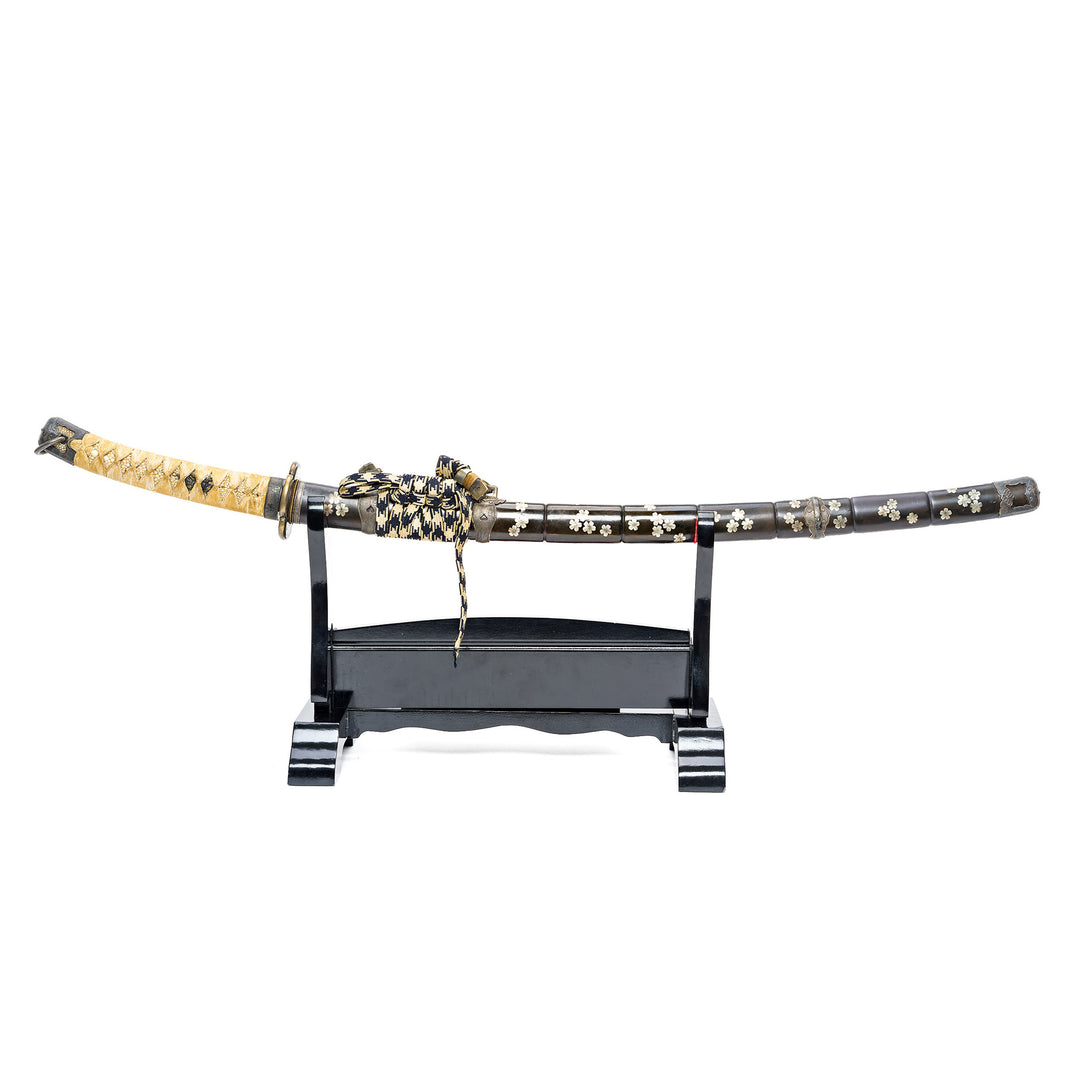 Authentic nakago with rust and twin mekugi-ana