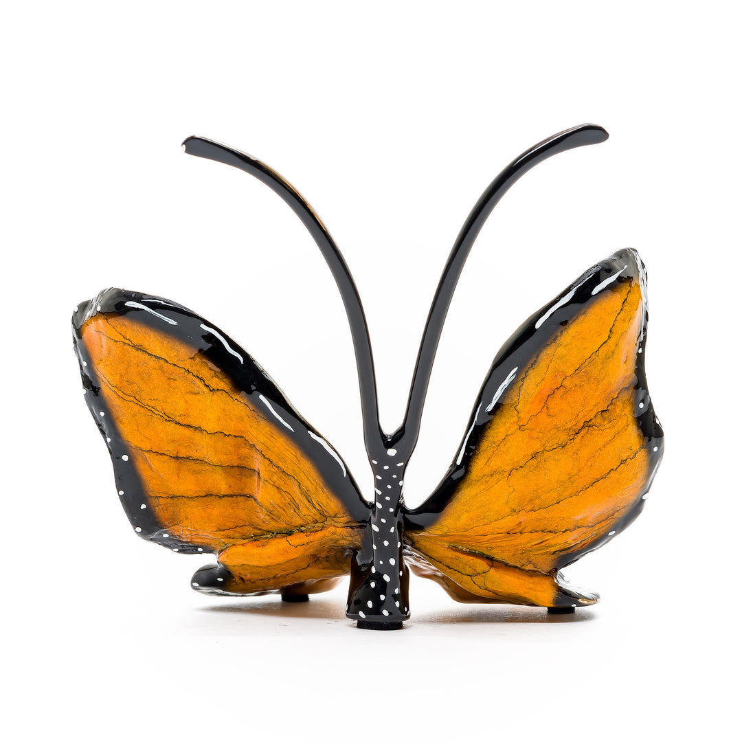 Rear view showing wing texture and bold enamel finish