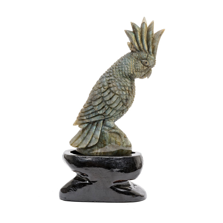 Exotic parrot statue carved from shimmering labradorite