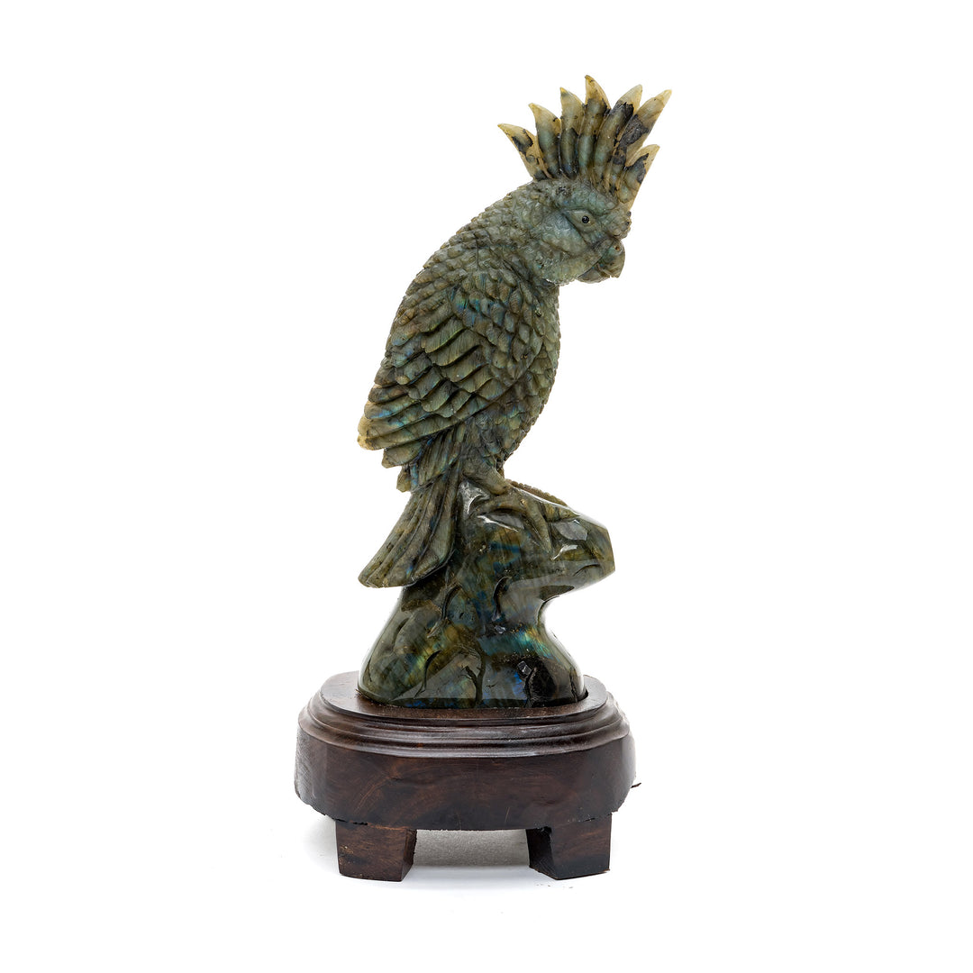 Full profile of labradorite bird with flared crest and feathers