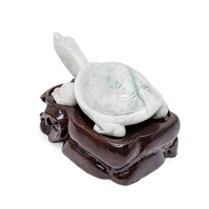 Rear of jade turtle carving with detailed shell