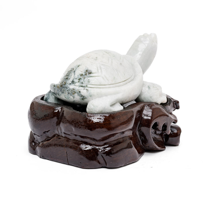 Rear view of jade turtle with polished shell