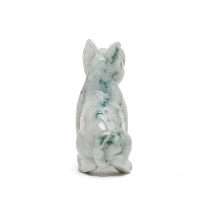 Rear view of small jade dog with curled tail
