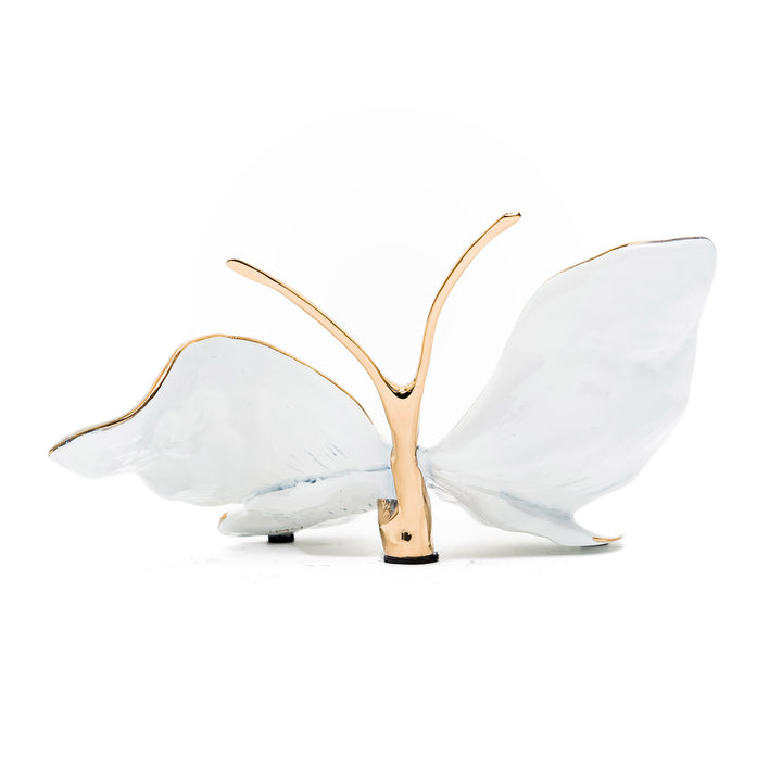 Back view of Ruiz butterfly with gold body and white wings