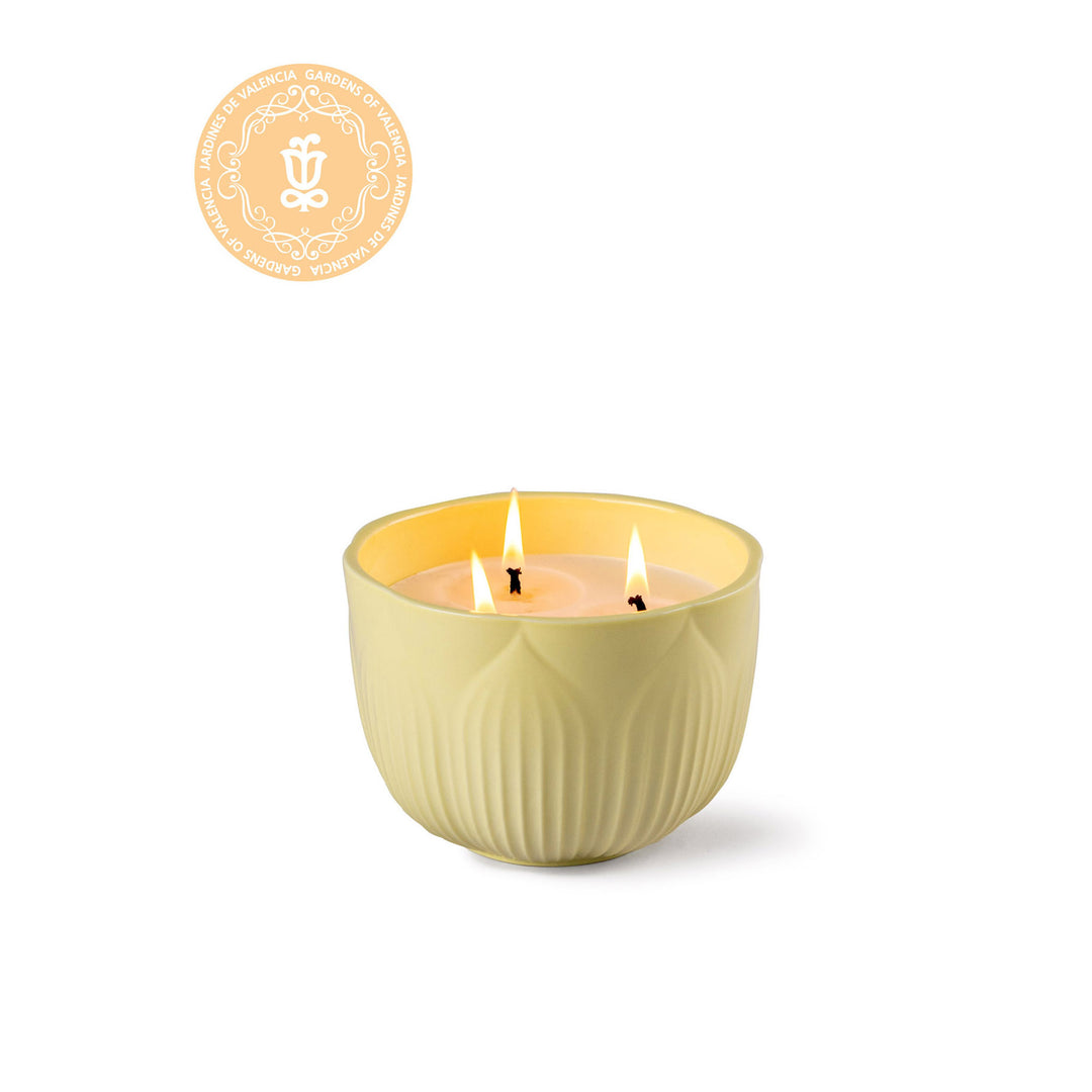 Lladro Fleurs candle. Gardens of Valencia Scent - 01040271