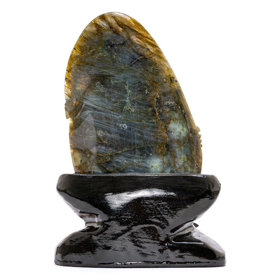 Labradorite Rearing Stallion
