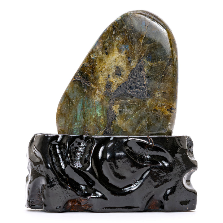 Labradorite Resting Doe