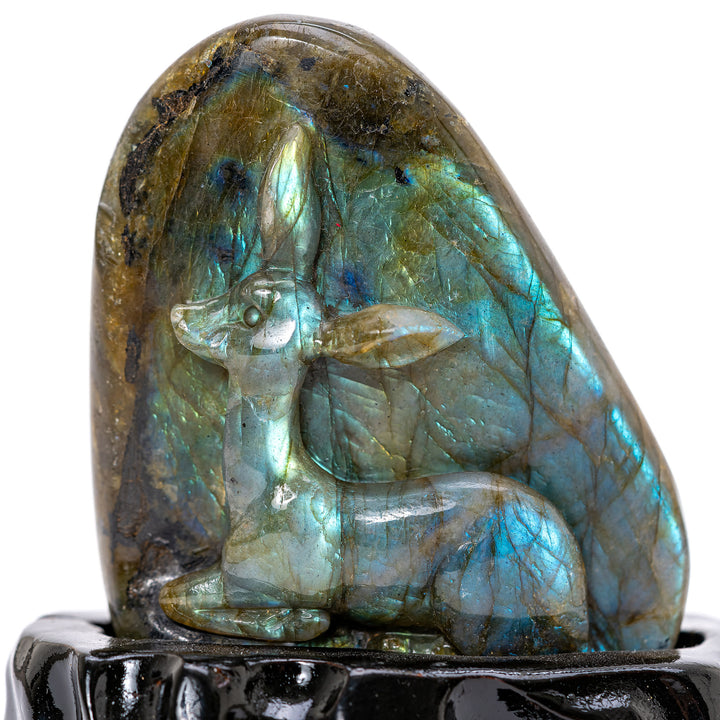 Labradorite Resting Doe