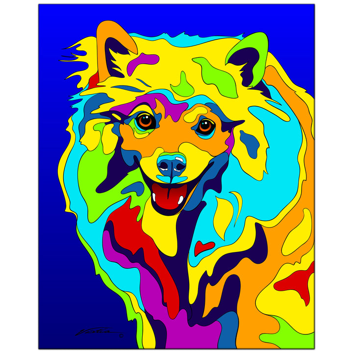 American Eskimo on Metal from The Colorful World of Michael Vistia Image