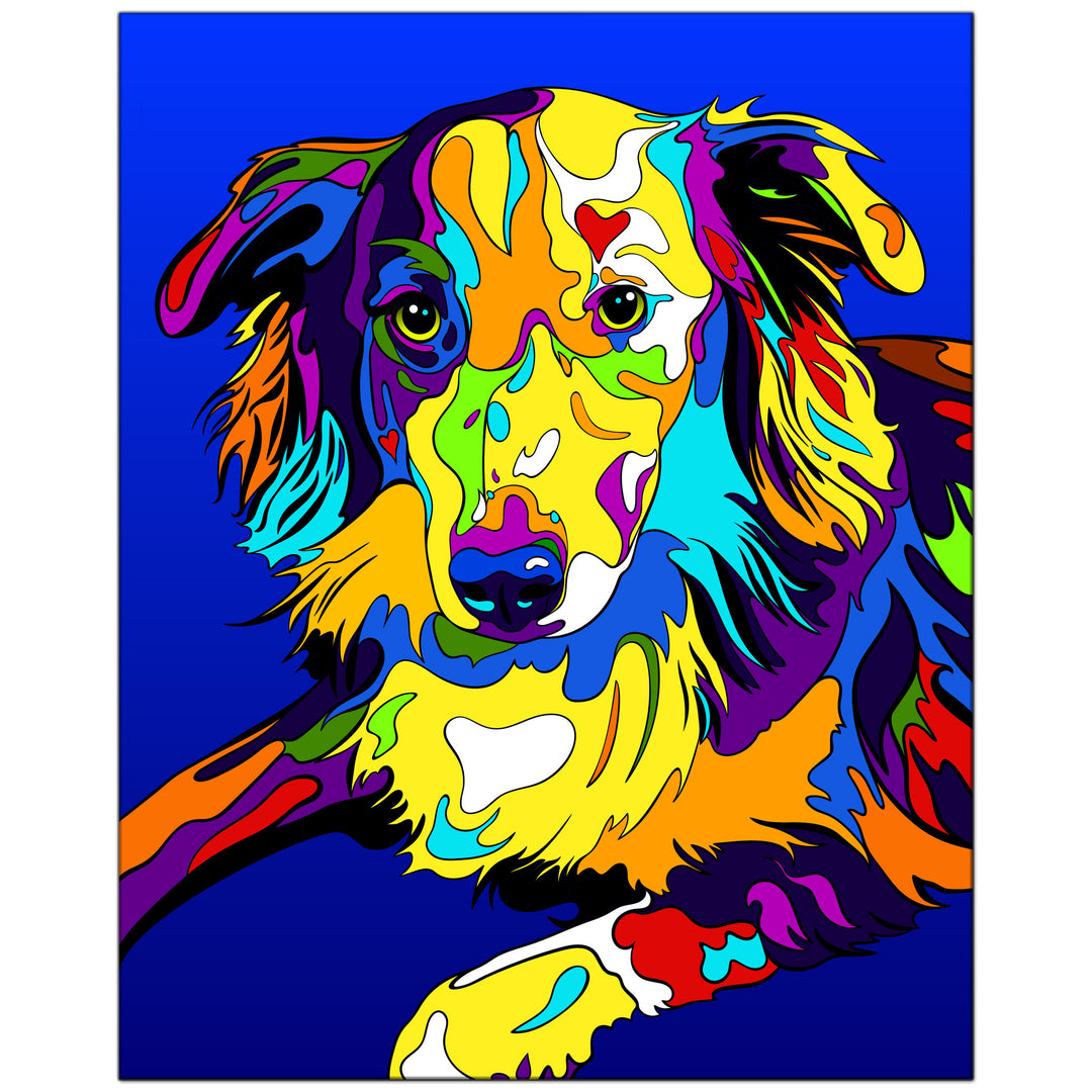 Australian Shepherd