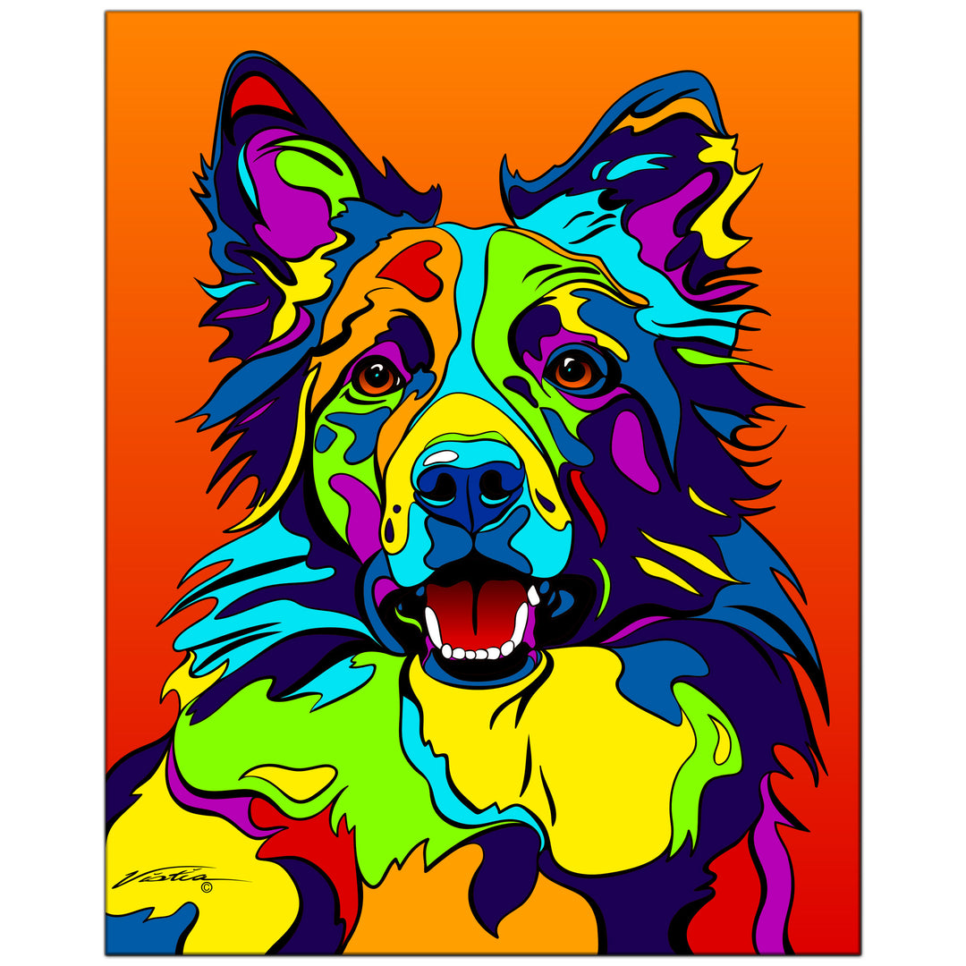 Border Collie on Metal from The Colorful World of Michael Vistia Image
