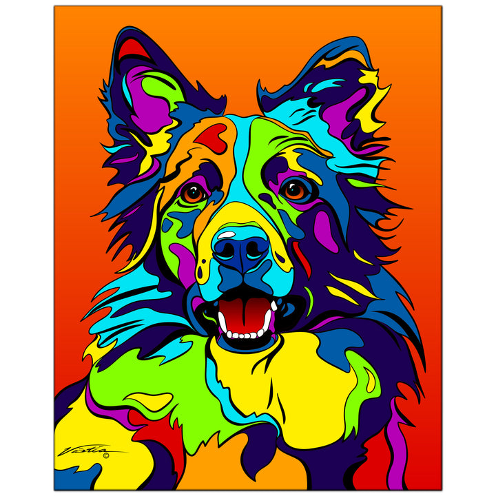 Border Collie on Metal from The Colorful World of Michael Vistia Image