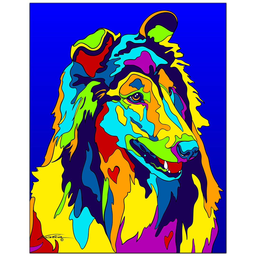 Collie