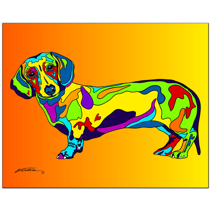 Dachshund