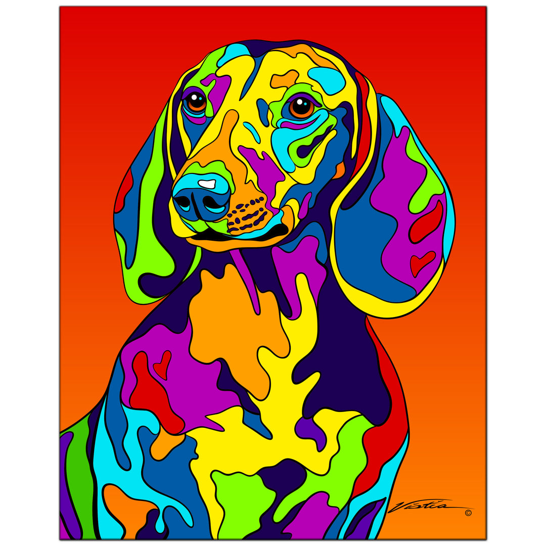 Dachshund