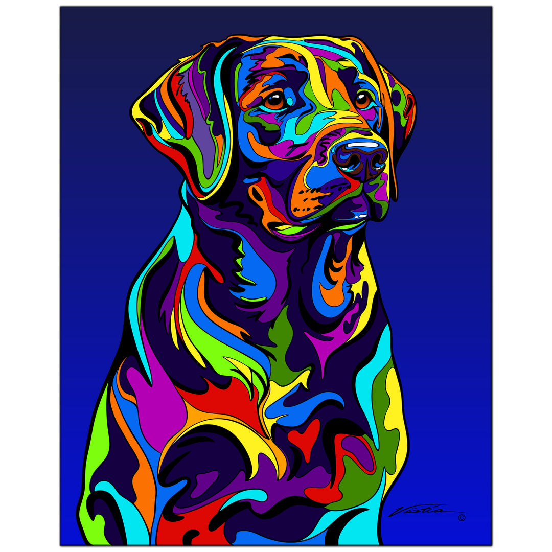 Labrador Retriever