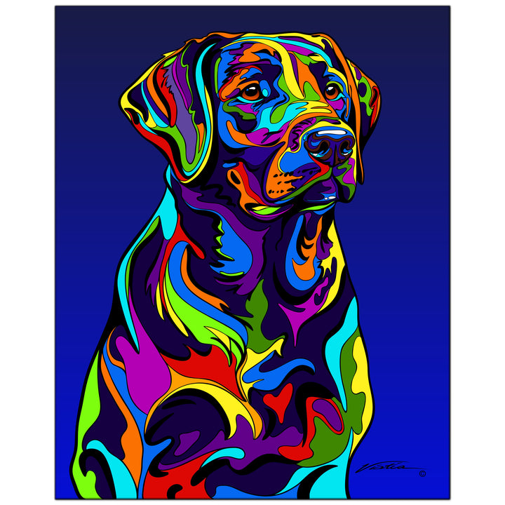 Labrador Retriever