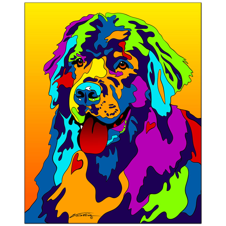 Newfoundland on Metal from The Colorful World of Michael Vistia Image