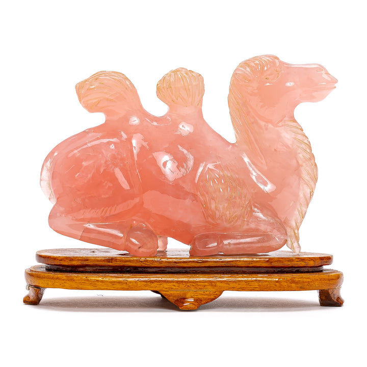 Rose Quartz Recumbent Camel