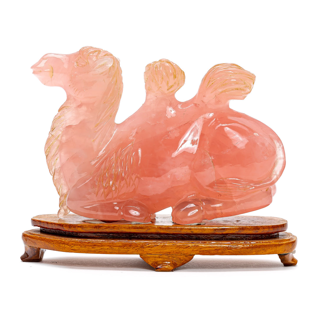 Rose Quartz Recumbent Camel