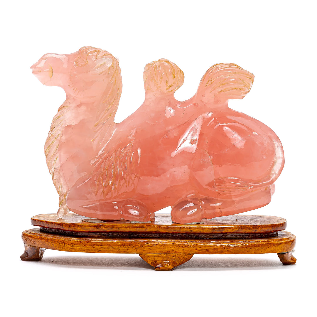 Rose Quartz Recumbent Camel