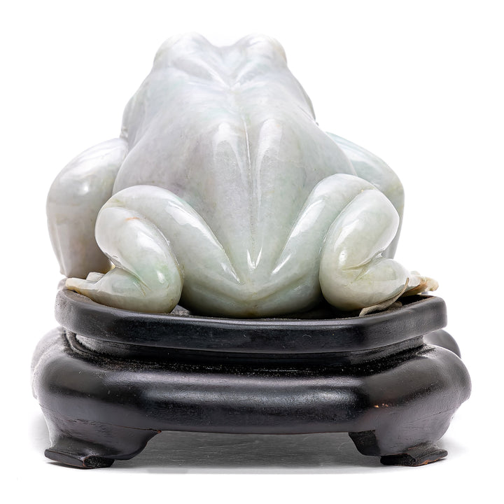 Crouching Jade Frog