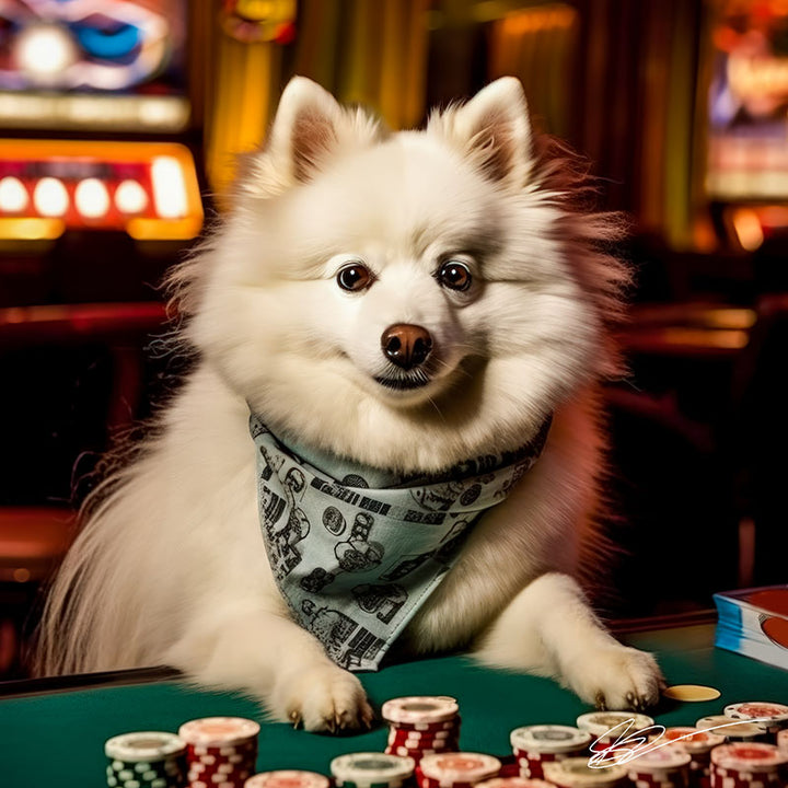 Chilled Chip Leader