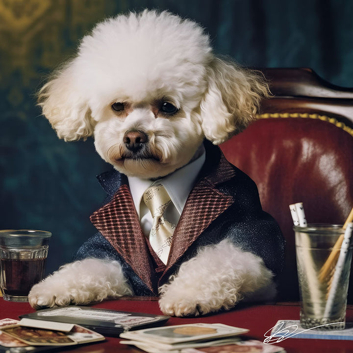 Bichon Bet Buddy