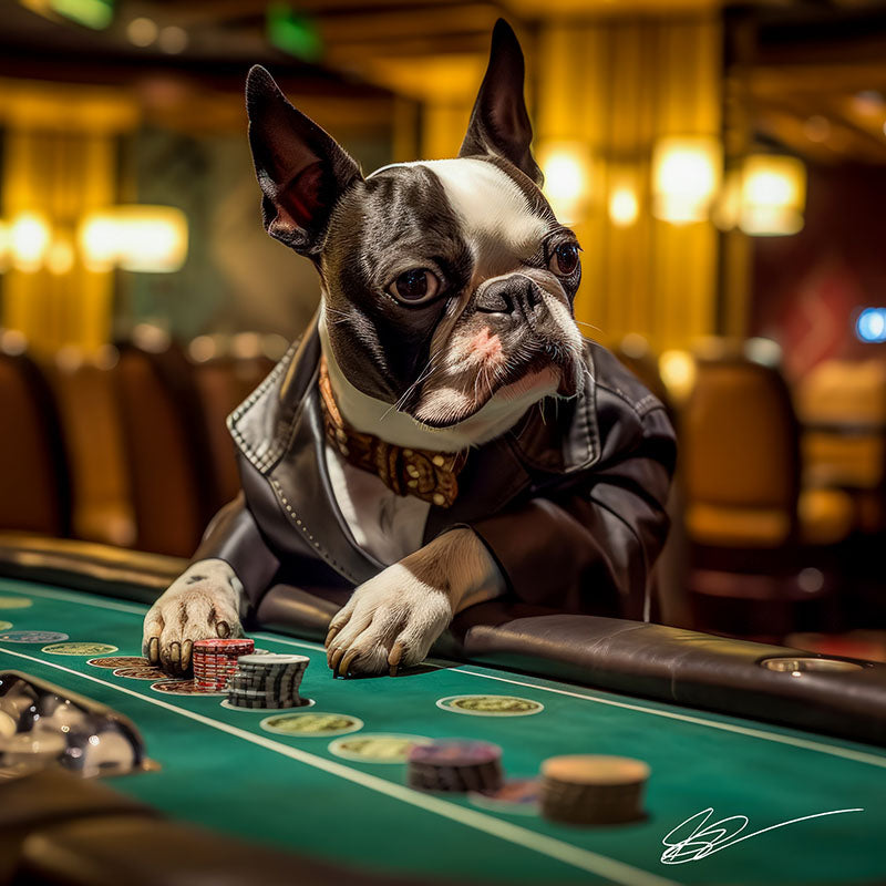 A Dog's Life