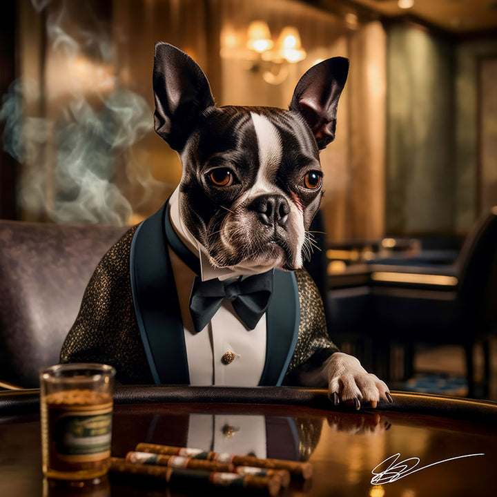 Lucky Tuxedo