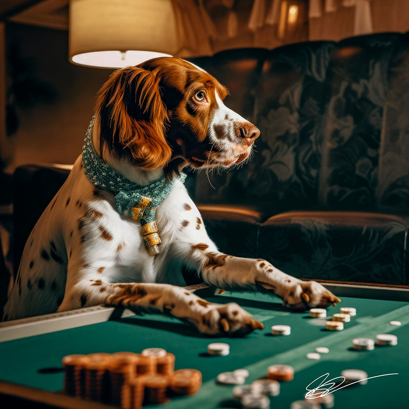 A Dog's Life