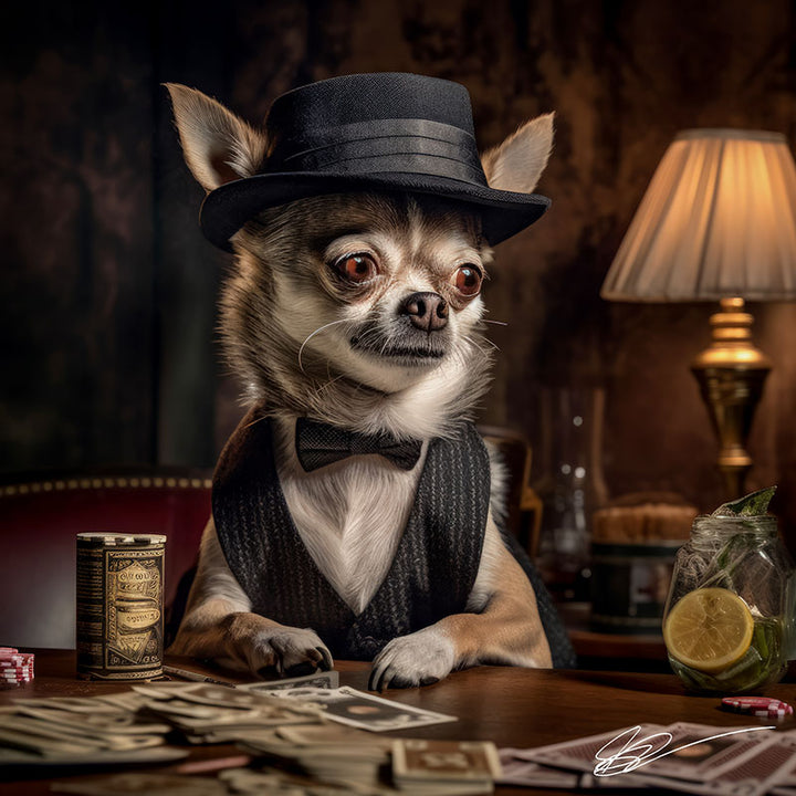 Chip Chihuahua