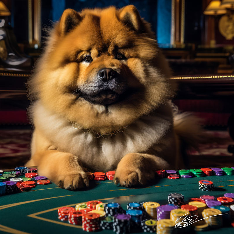 A Dog's Life