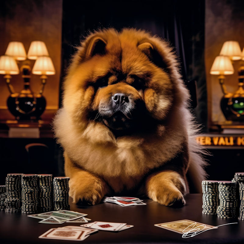 A Dog's Life