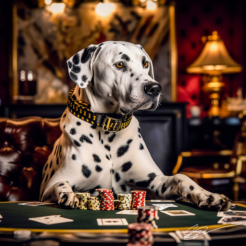 A Dog's Life