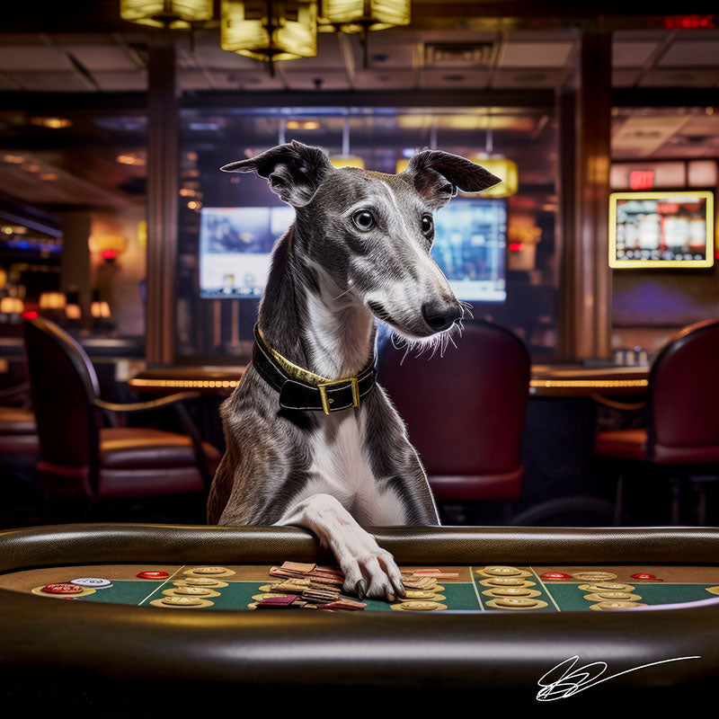 A Dog's Life