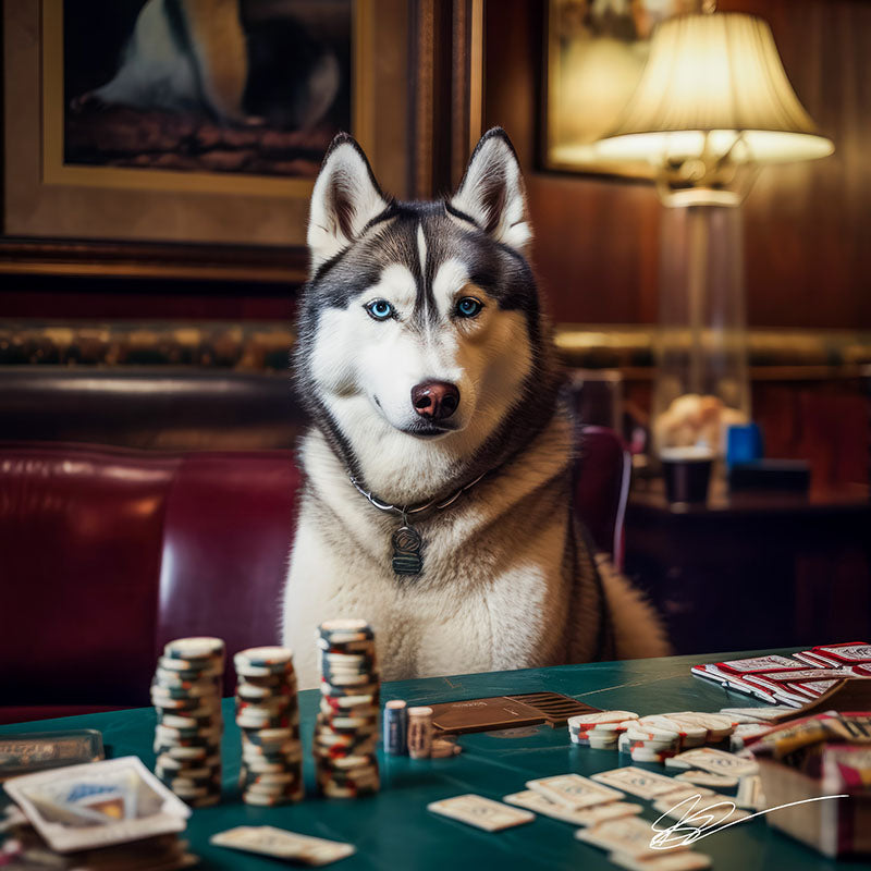 A Dog's Life