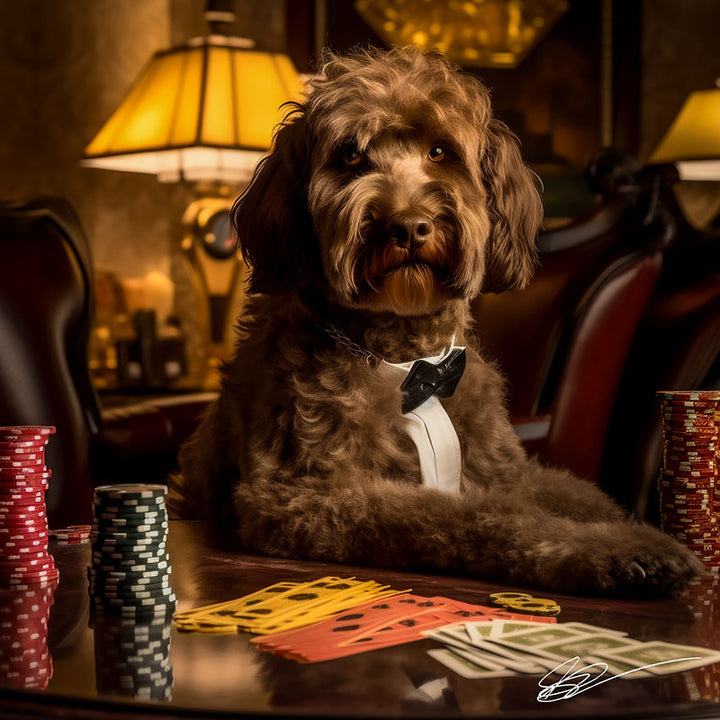 Jackpot Labradoodles