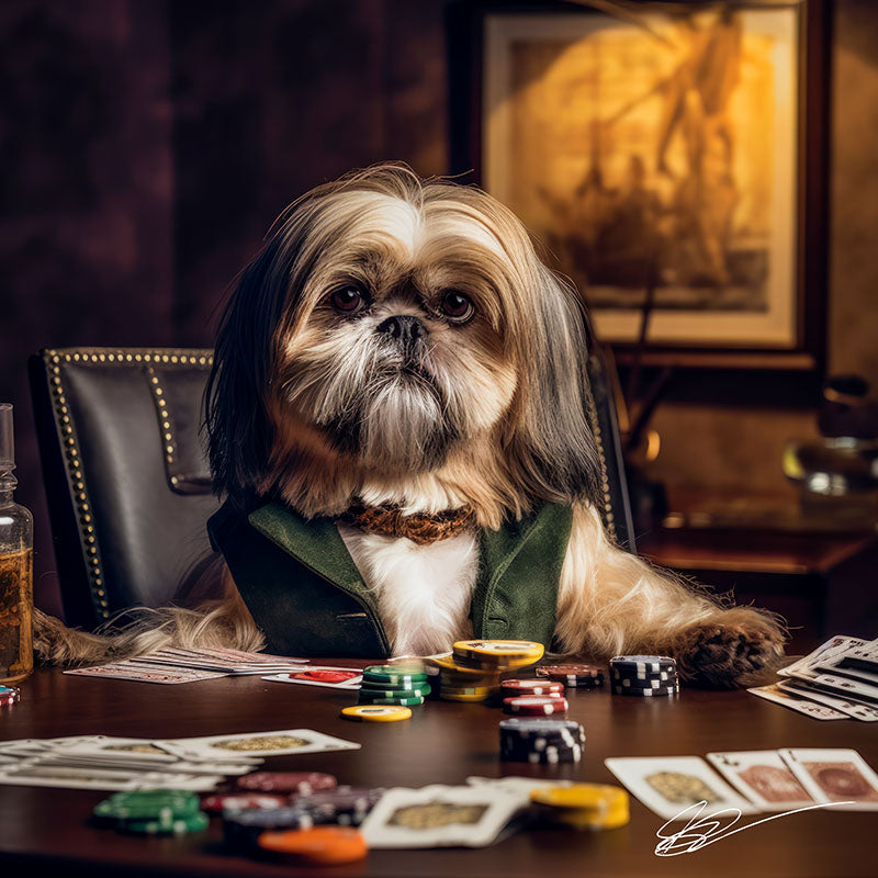 A Dog's Life