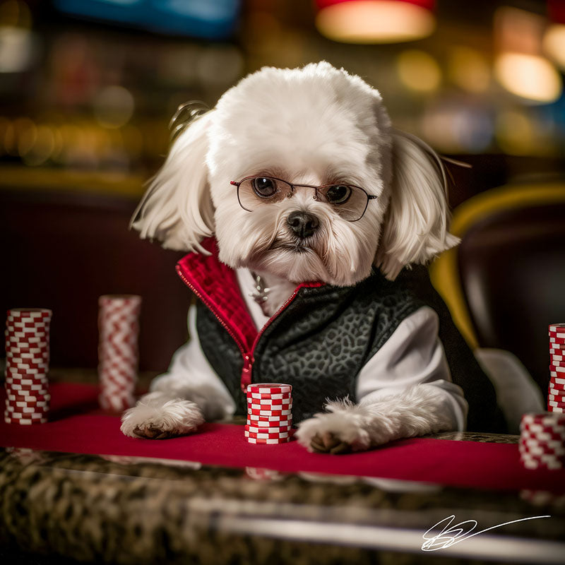 A Dog's Life