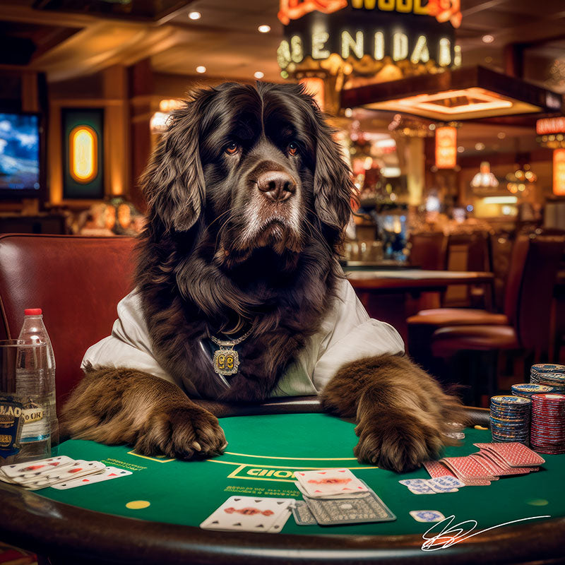 A Dog's Life