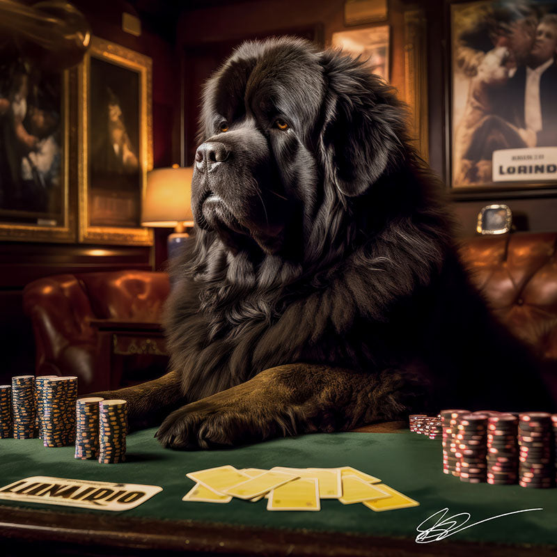 A Dog's Life
