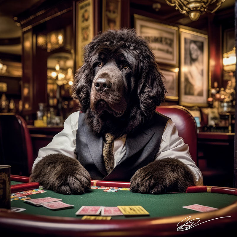 A Dog's Life