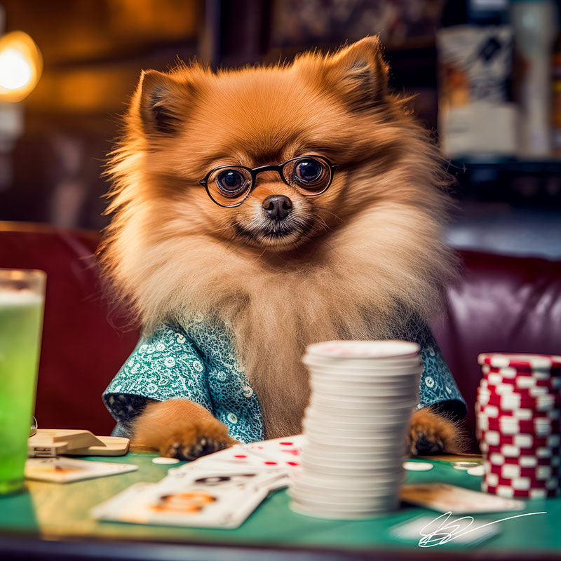A Dog's Life