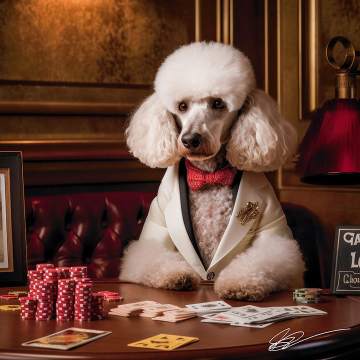 Poodle Payouts