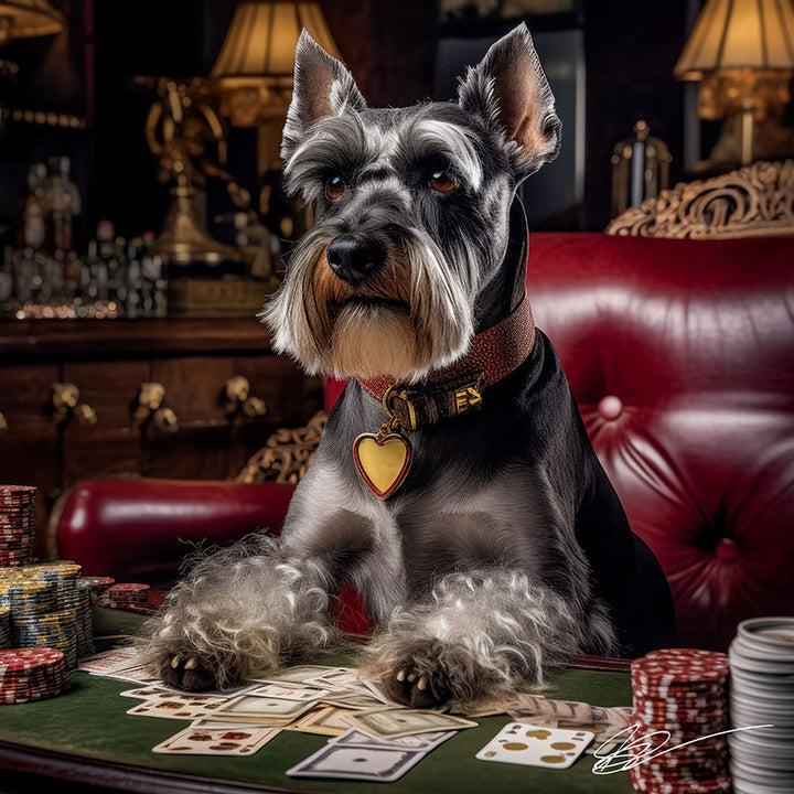 Casino Cutie