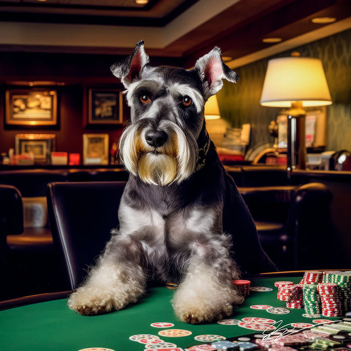 Schnauzer's Lucky Lap