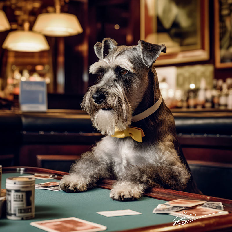 A Dog's Life