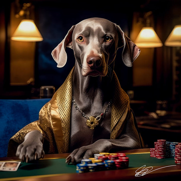 Weimaraner Winning Streak