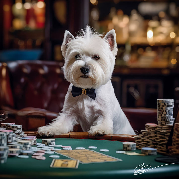 West High-Rollers Terrier